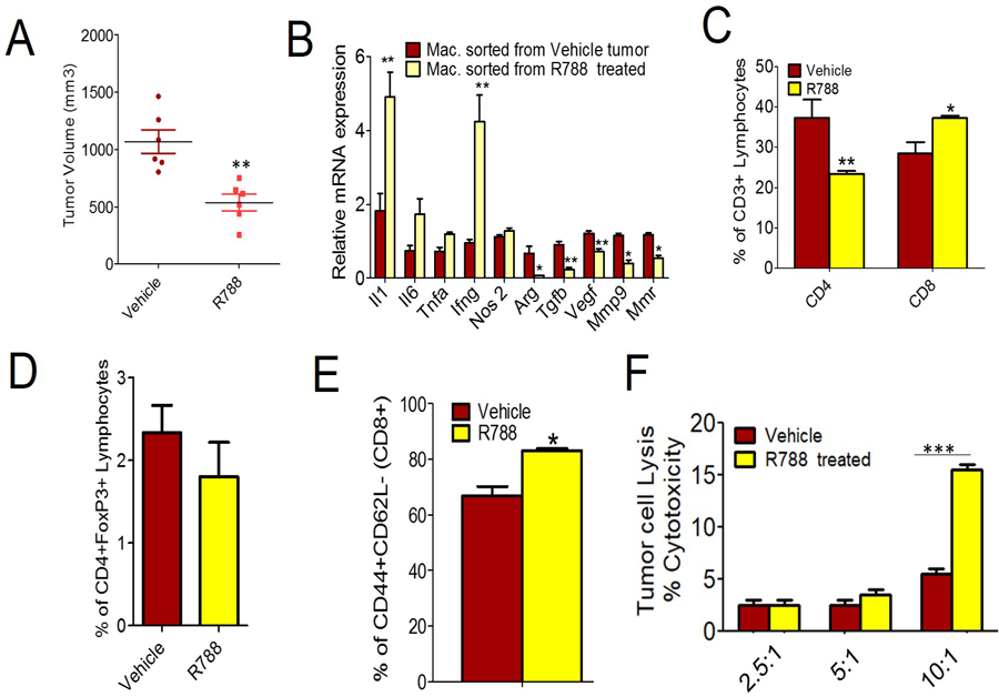 Figure 4: