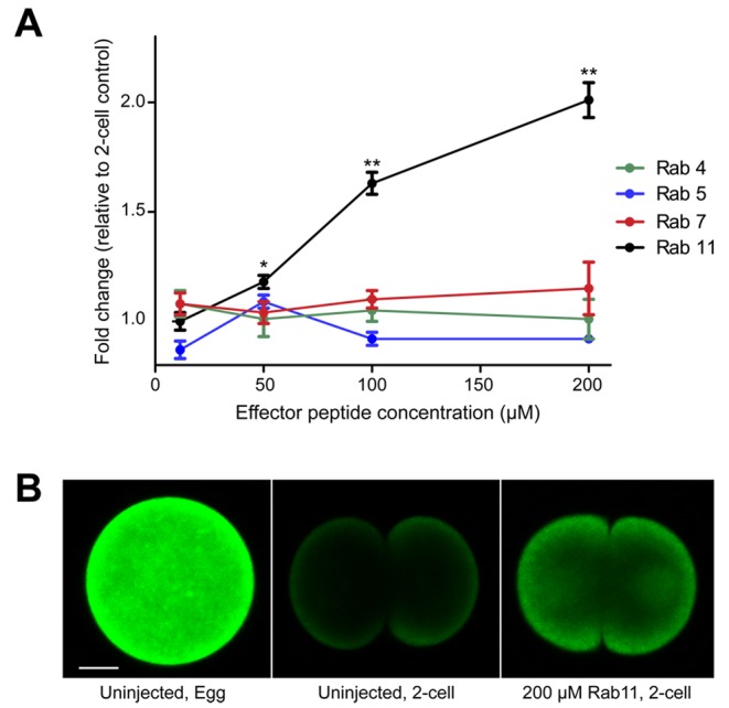 FIGURE 6: