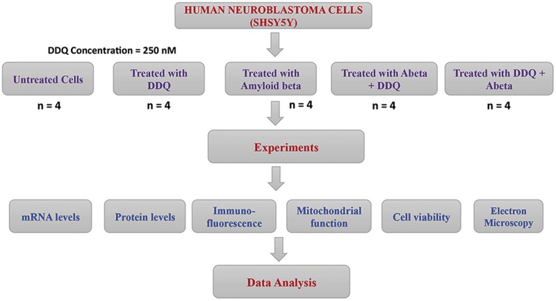 Figure 3.