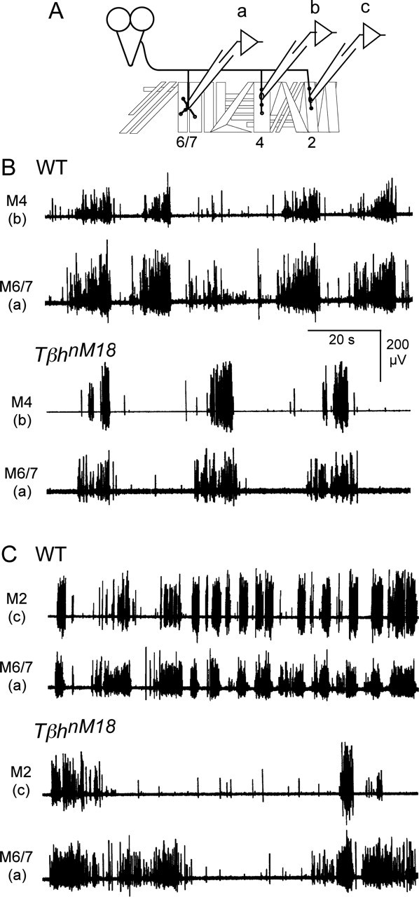 Figure 10.