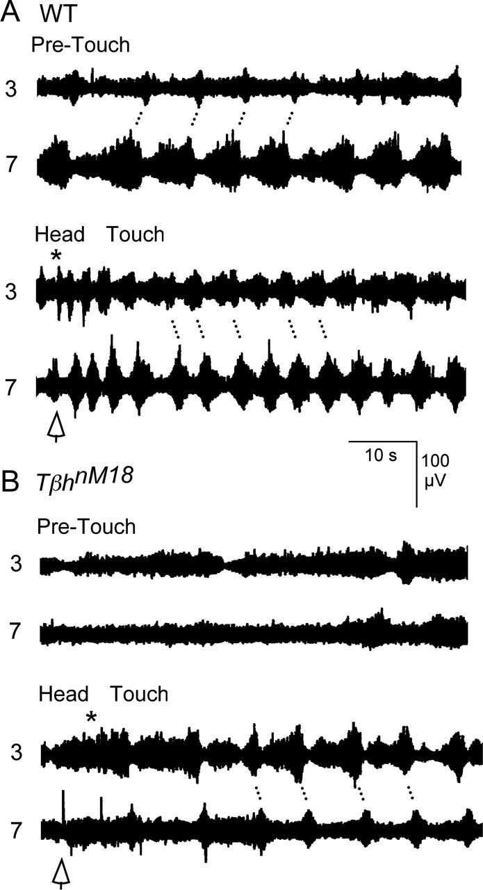 Figure 11.