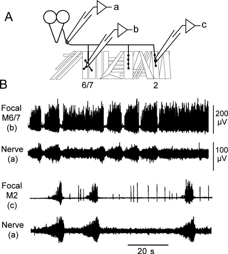 Figure 7.