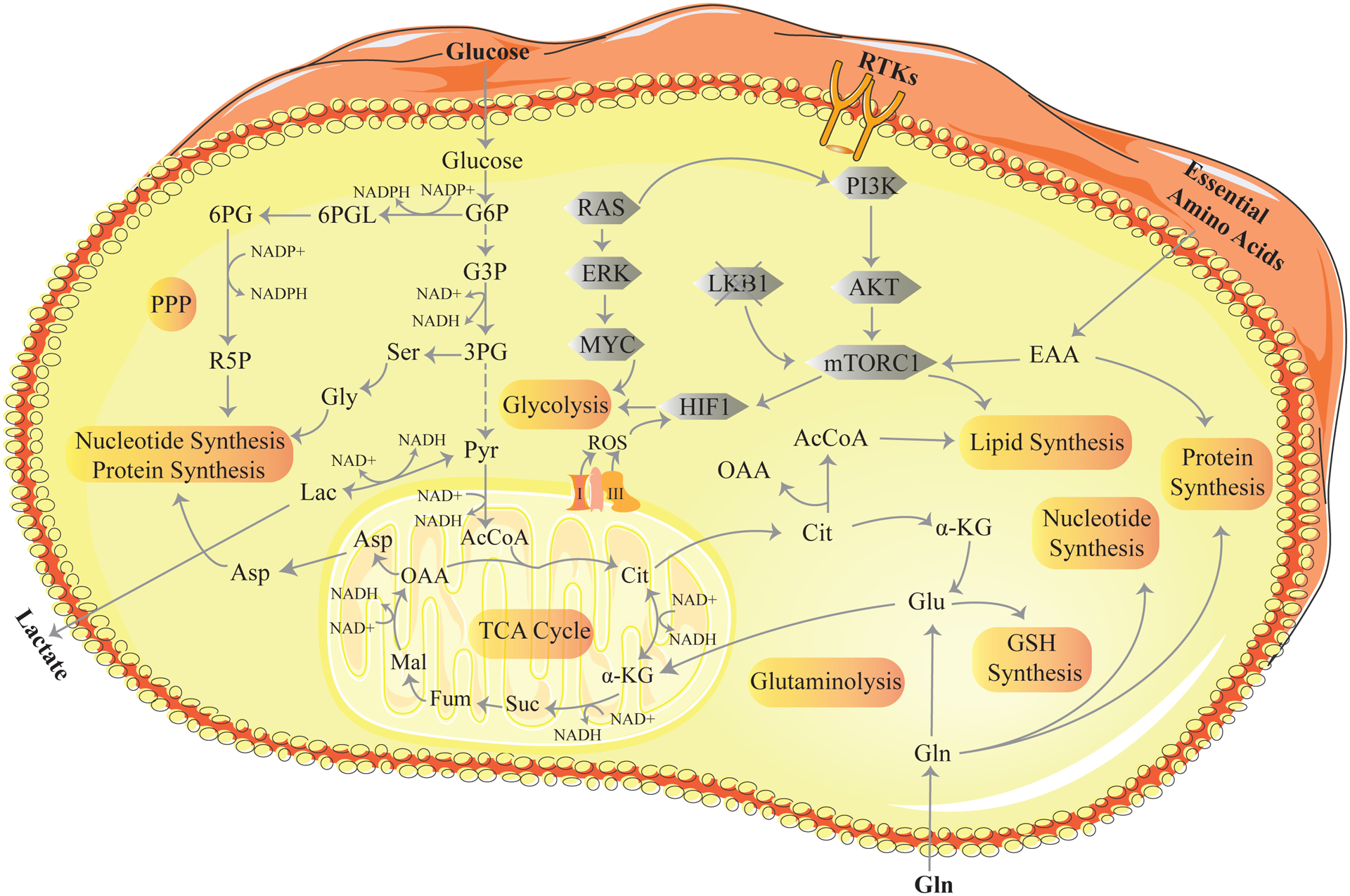 Figure 1: