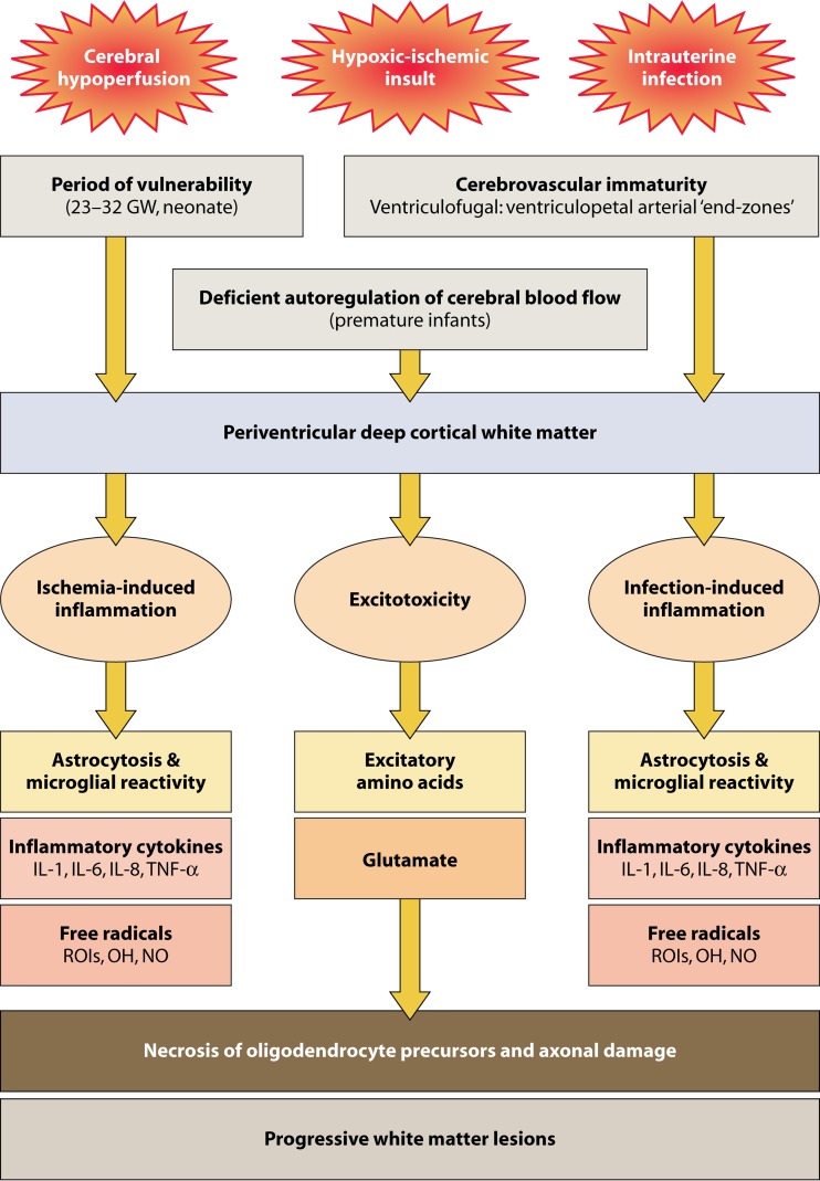 FIG 2