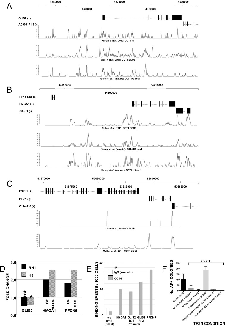 Fig 6