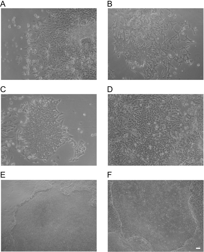 Fig 3