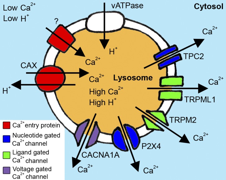 Figure 1.