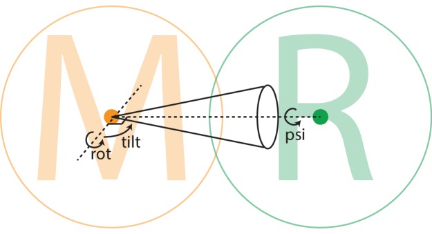 Figure 1—figure supplement 2.