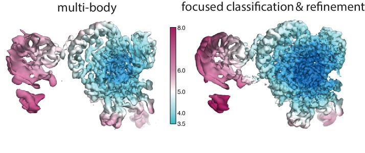 Figure 3—figure supplement 2.