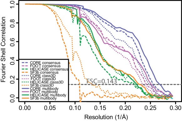 Figure 3—figure supplement 1.