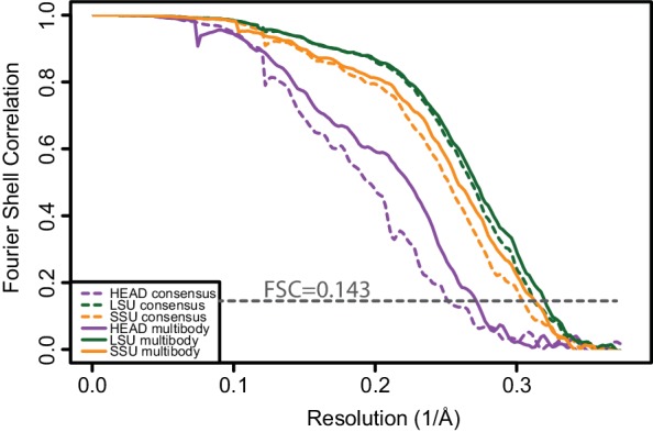 Figure 2—figure supplement 1.