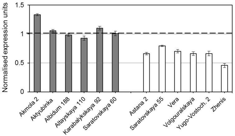 FIGURE 2