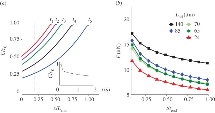 Figure 7.