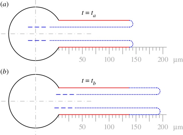 Figure 10.