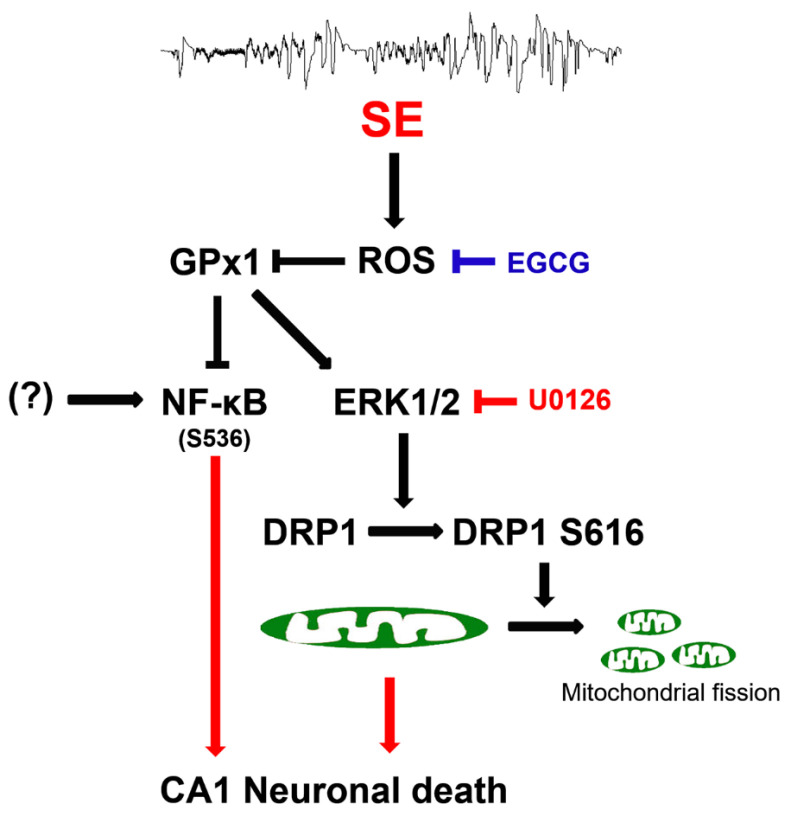 Figure 11