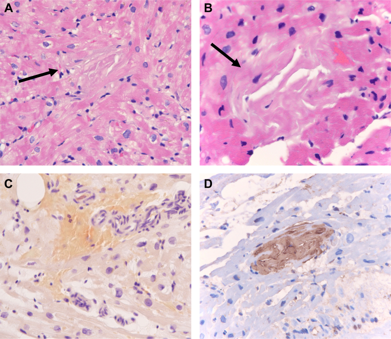 Figure 3