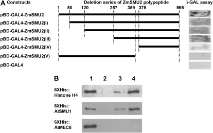 Figure 6.