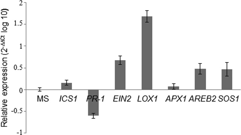 FIG 2