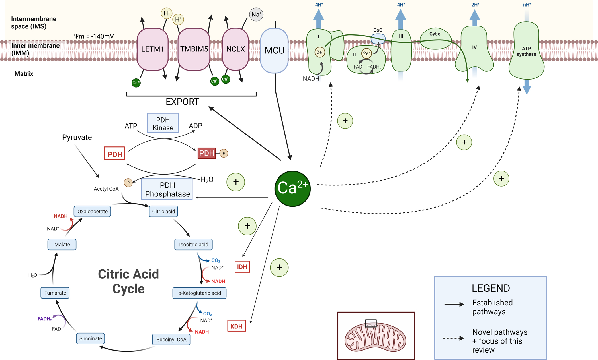 Figure 1 –