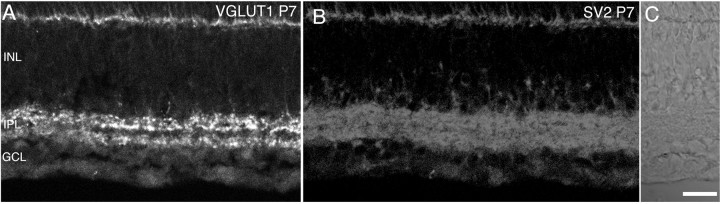 Fig. 9.