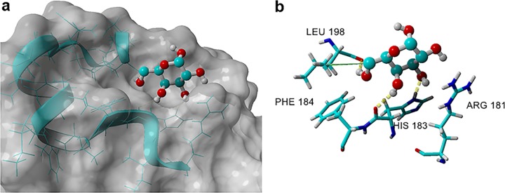 FIG 2