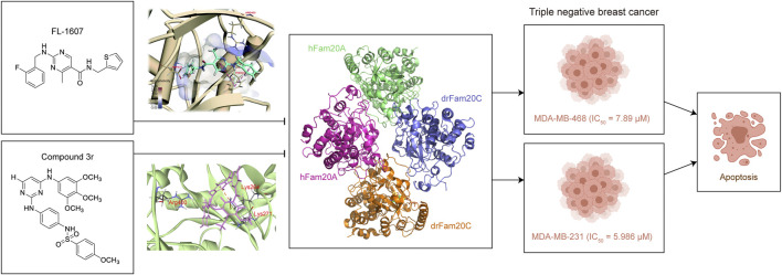 FIGURE 2