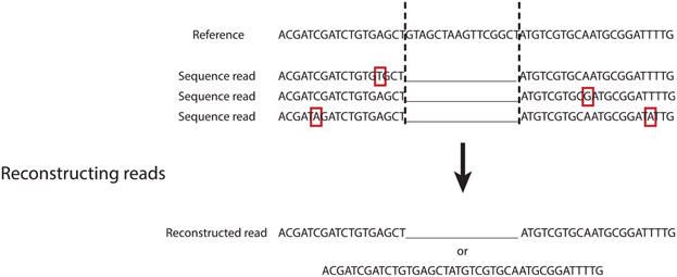 Fig. 4