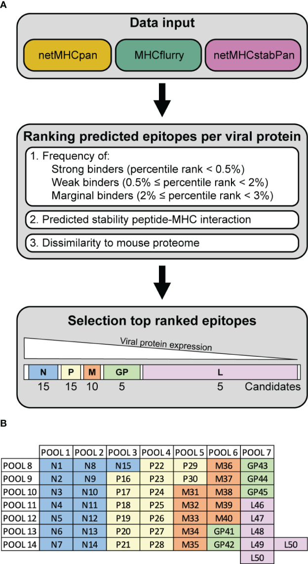 Figure 1