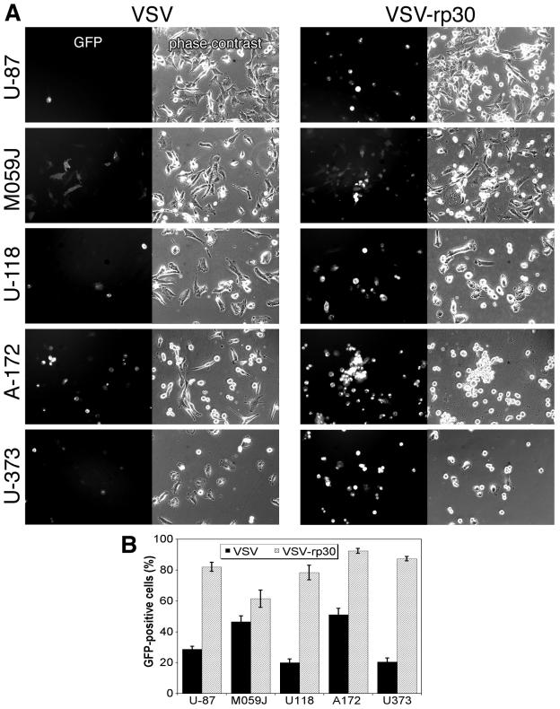 FIG. 6.