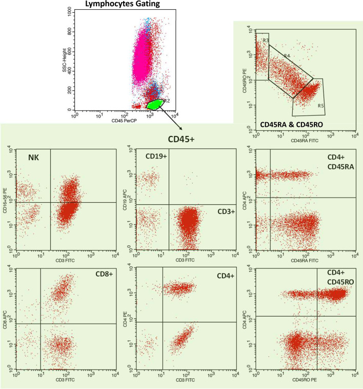 Figure 1