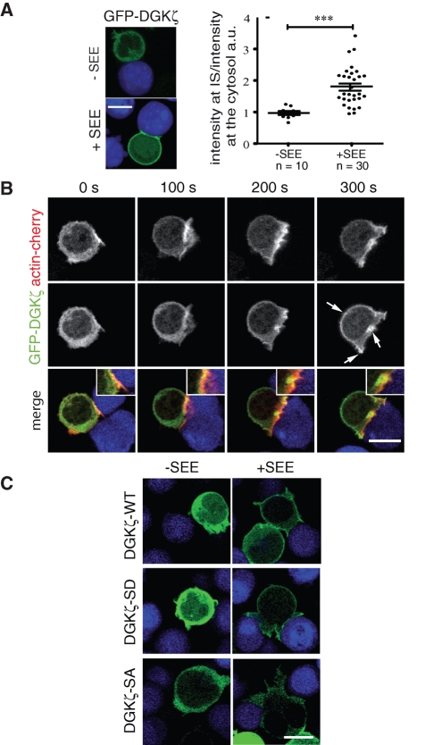 FIGURE 4: