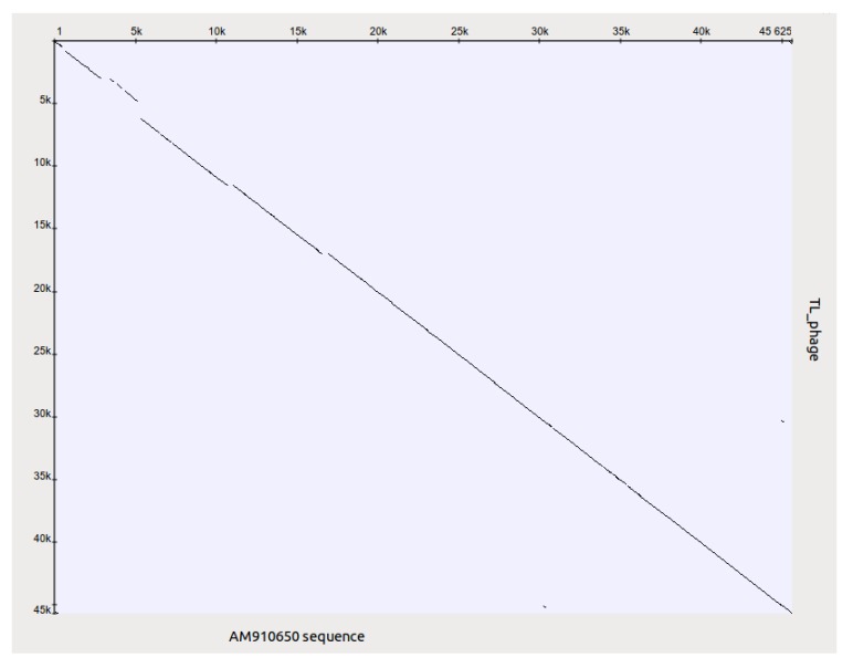 Figure 11