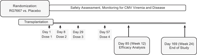 FIG 3