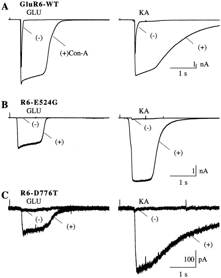 Fig. 8.