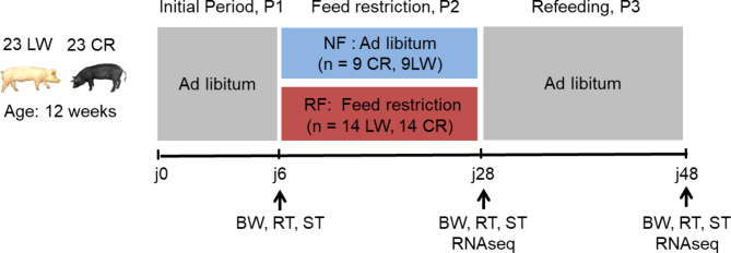 Fig. 8