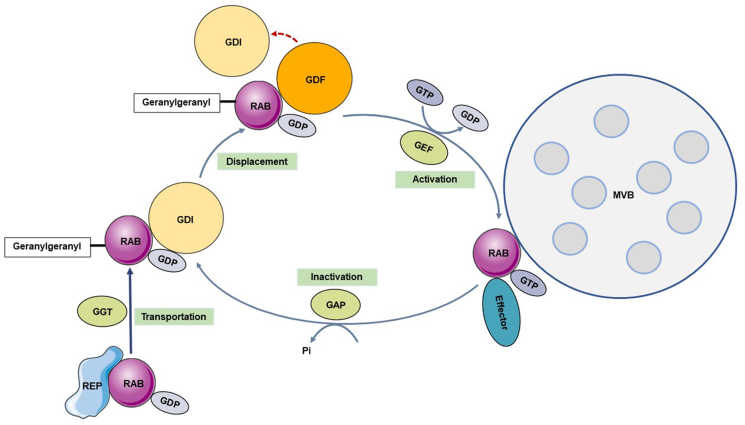 Fig. 2