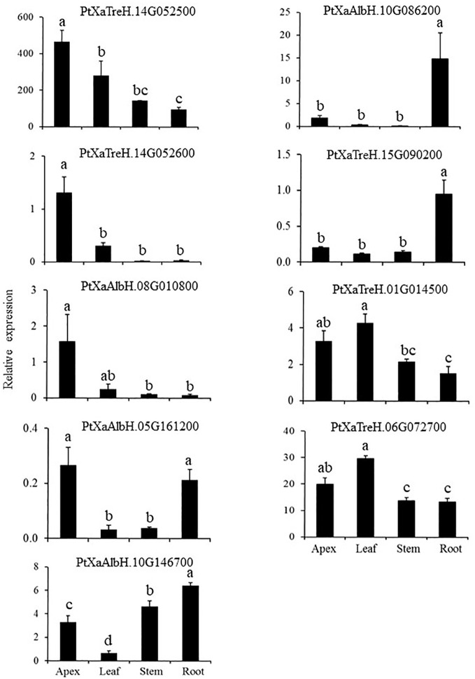 Figure 3