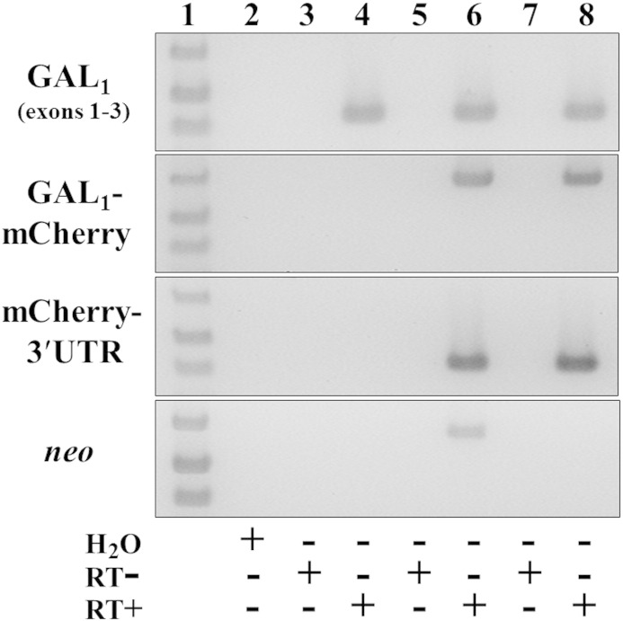 Supplementary Fig. 3