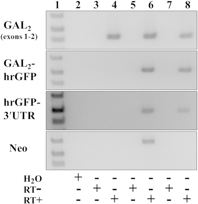 Supplementary Fig. 4