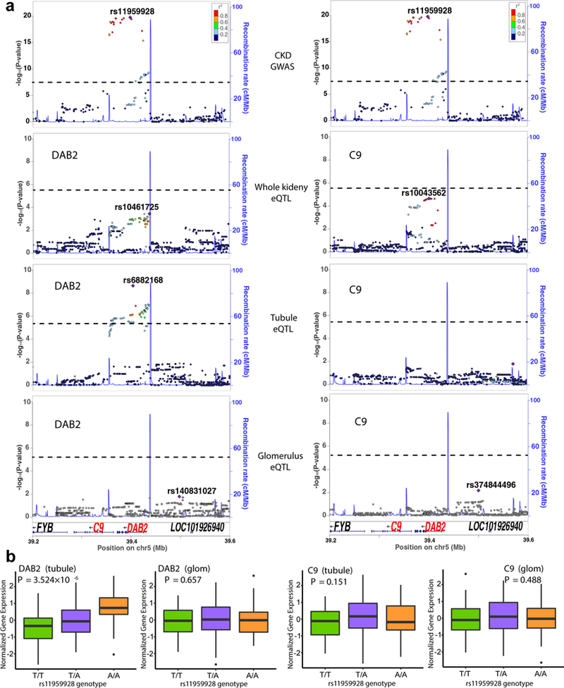 Figure 3: