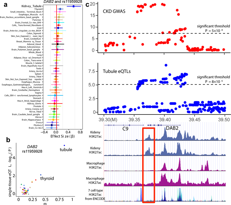 Figure 4: