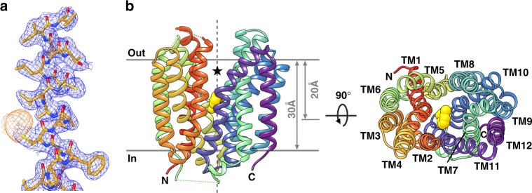 Fig. 2