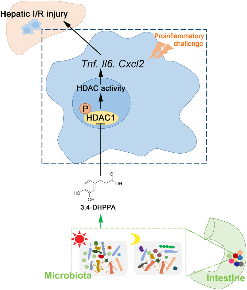 Figure 7