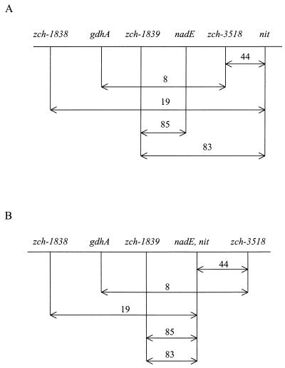 FIG. 1