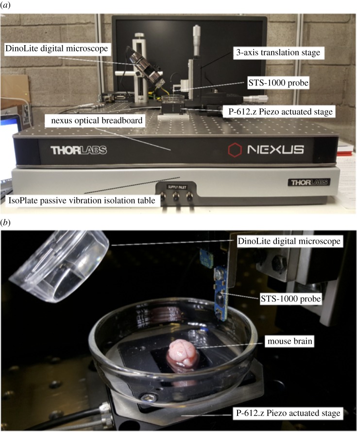 Figure 2.