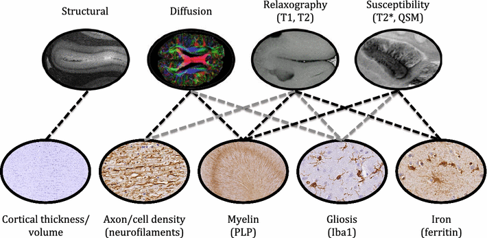 Fig. 13