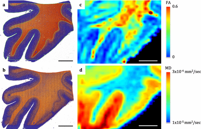 Fig. 10