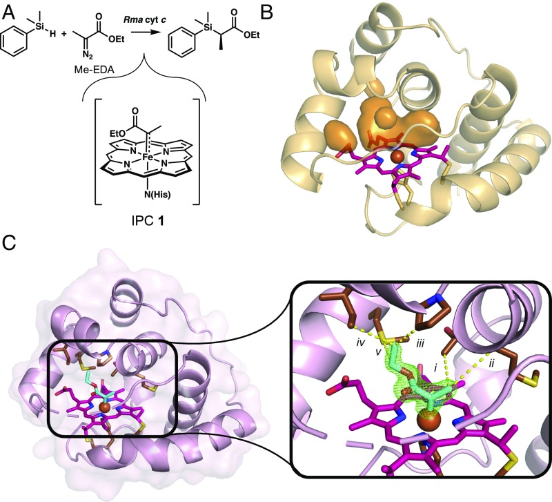 Fig. 2.