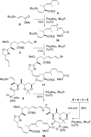 Scheme 3