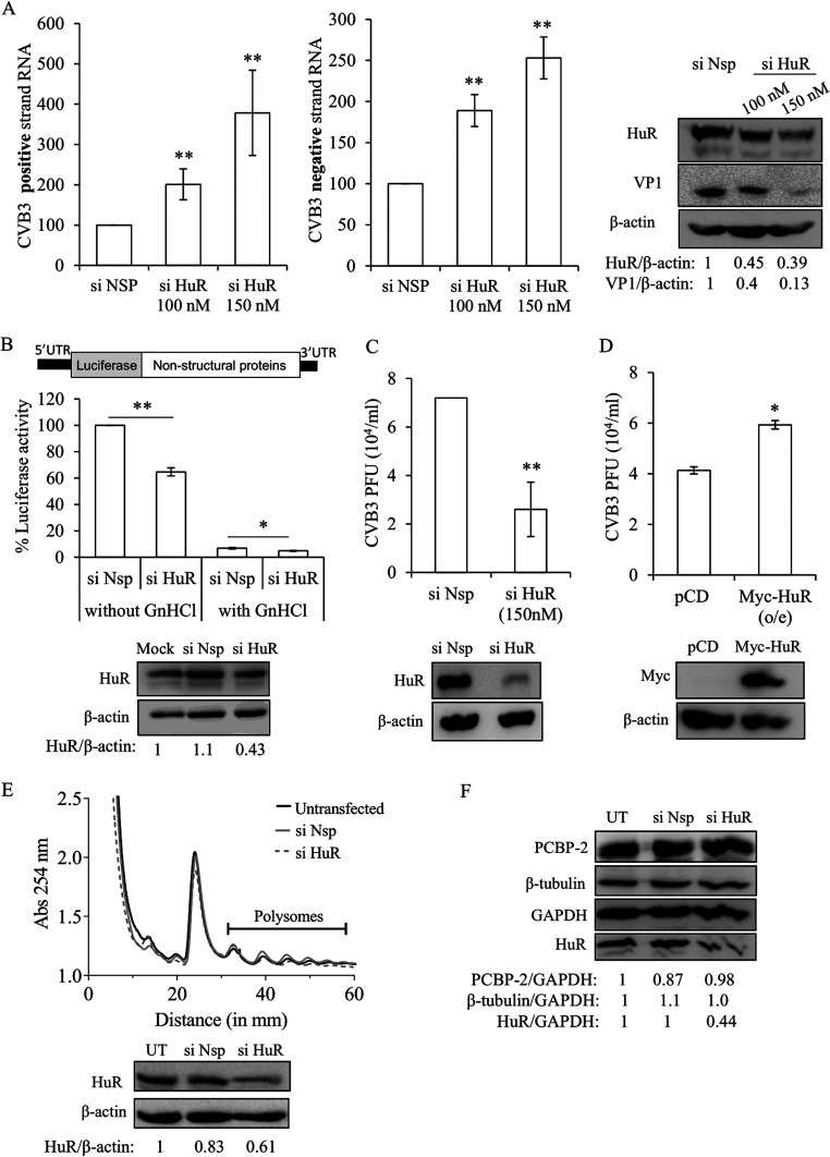 FIG 2